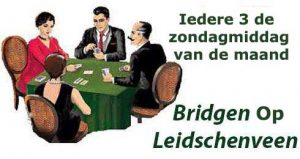 Bridgen Op Leidschenveen.